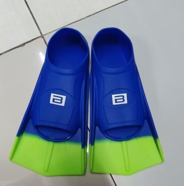 B ORI (BLUE/GREEN)
